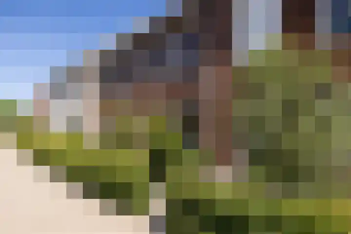 Katjesbos 16 Doetinchem thumbnail 43