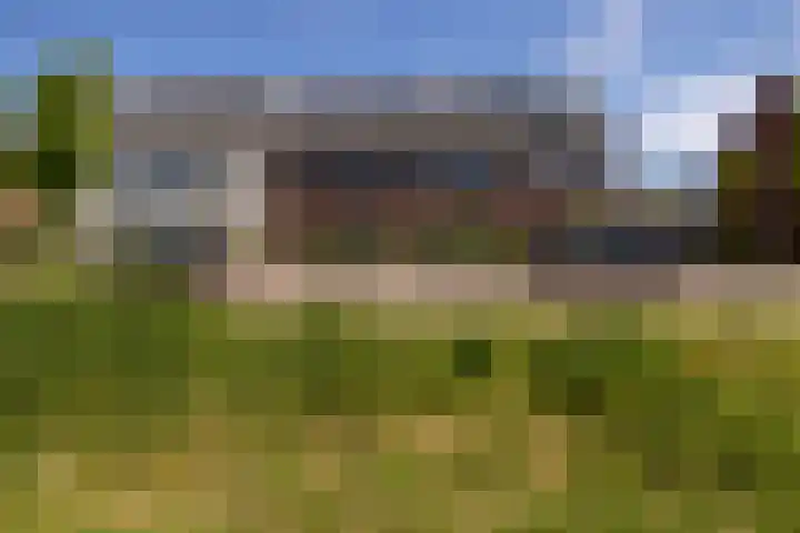 Katjesbos 16 Doetinchem thumbnail 44
