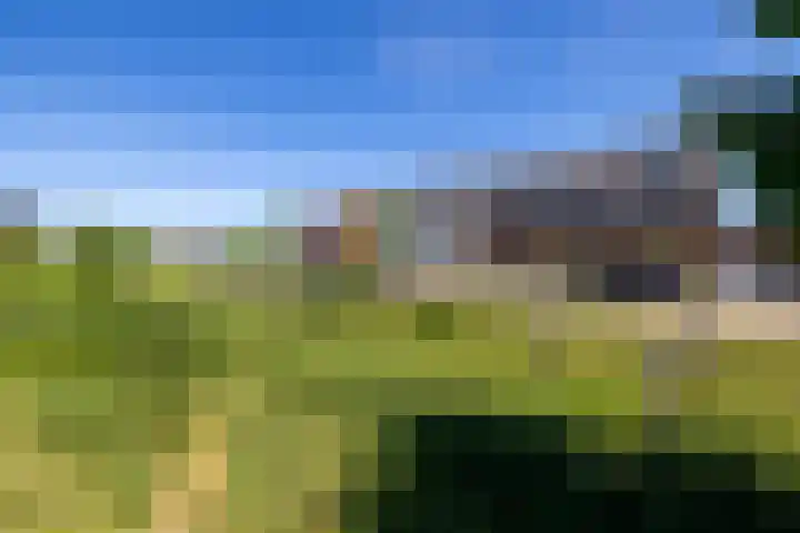 Katjesbos 16 Doetinchem thumbnail 46