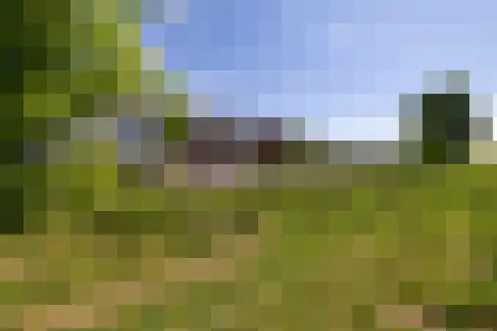 Katjesbos 16 Doetinchem thumbnail 47
