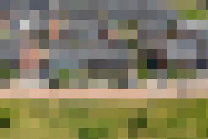 Katjesbos 16 Doetinchem thumbnail 50