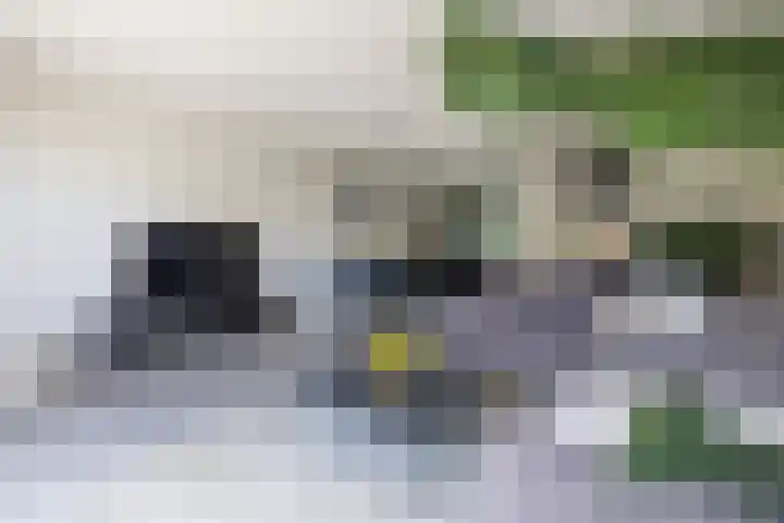 Katjesbos 16 Doetinchem thumbnail 7