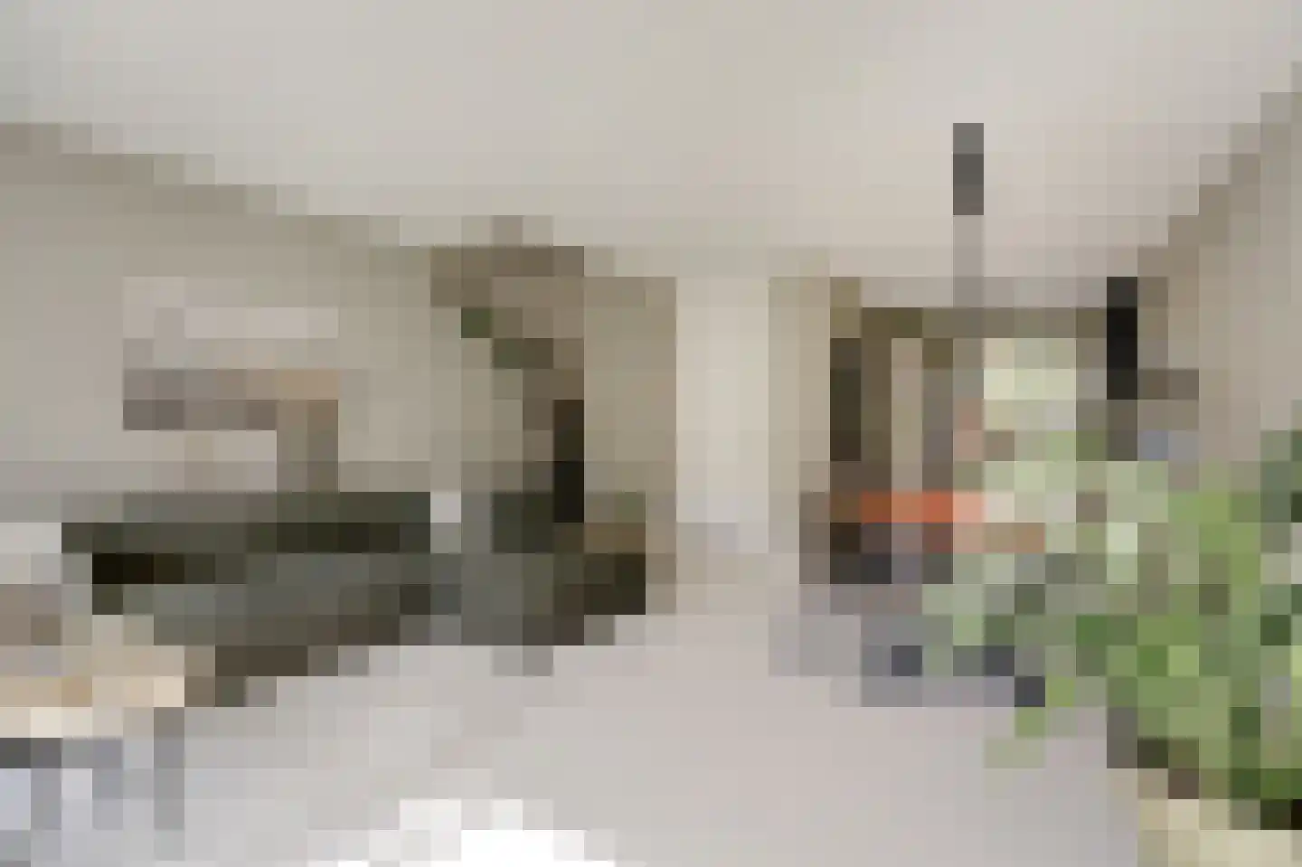 Katjesbos 20 Doetinchem thumbnail 15