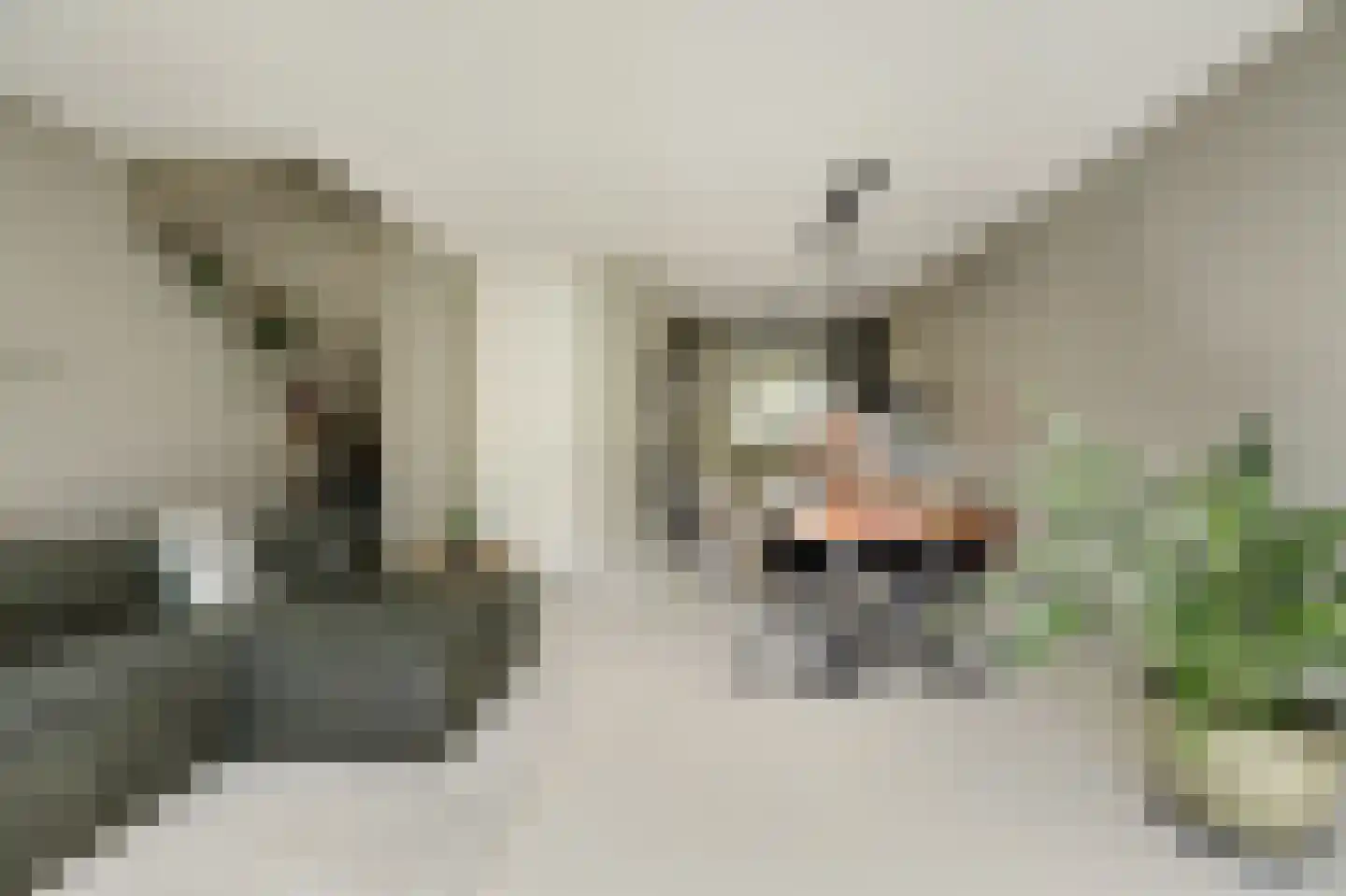 Katjesbos 20 Doetinchem thumbnail 16