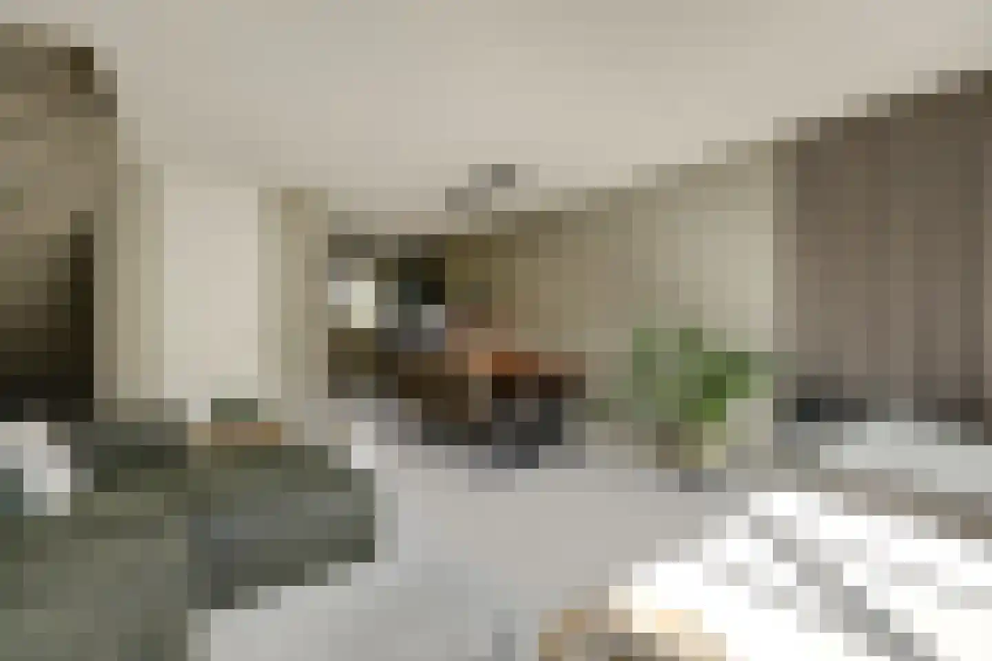 Katjesbos 20 Doetinchem thumbnail 17