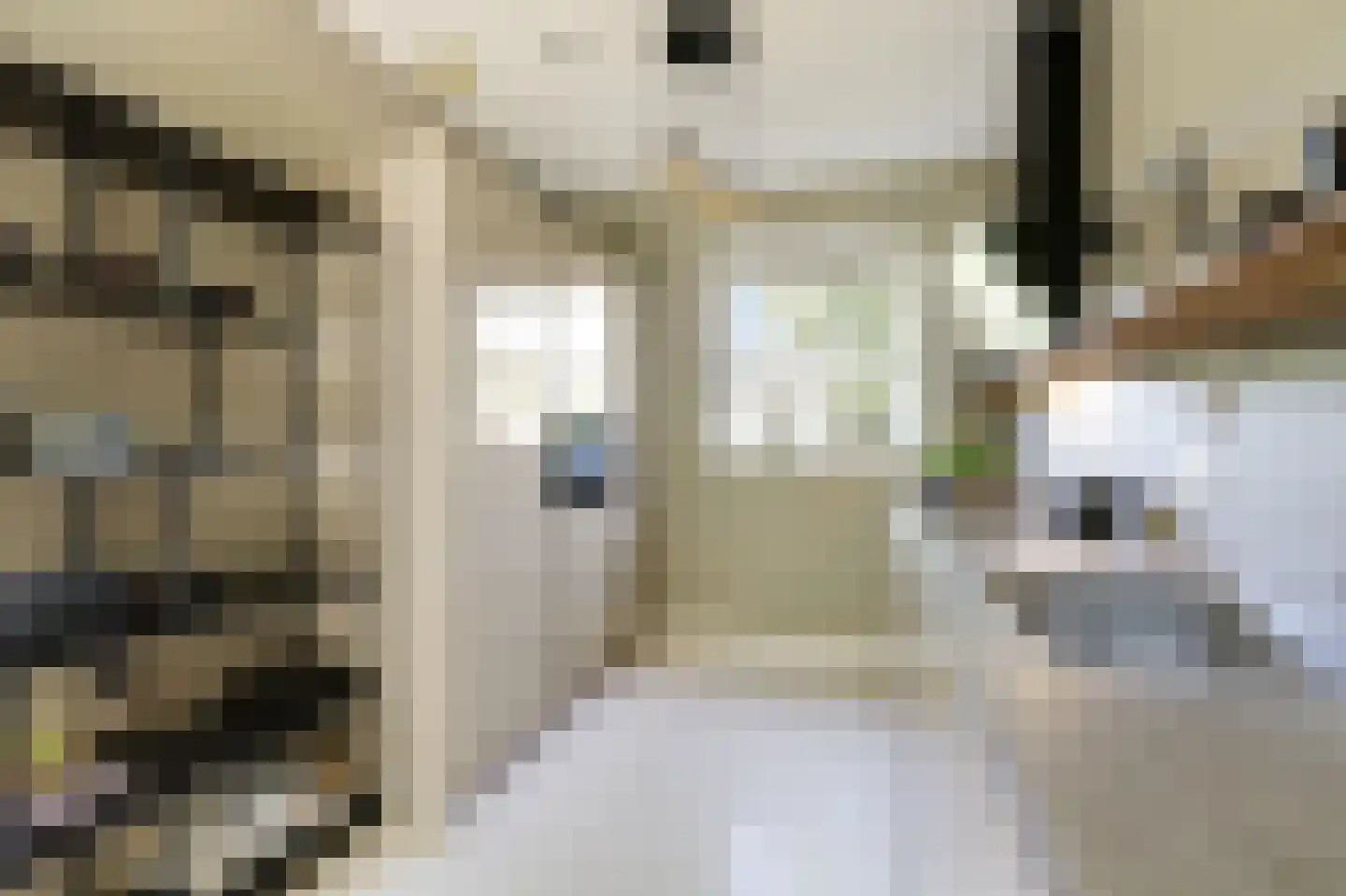 Katjesbos 20 Doetinchem thumbnail 21