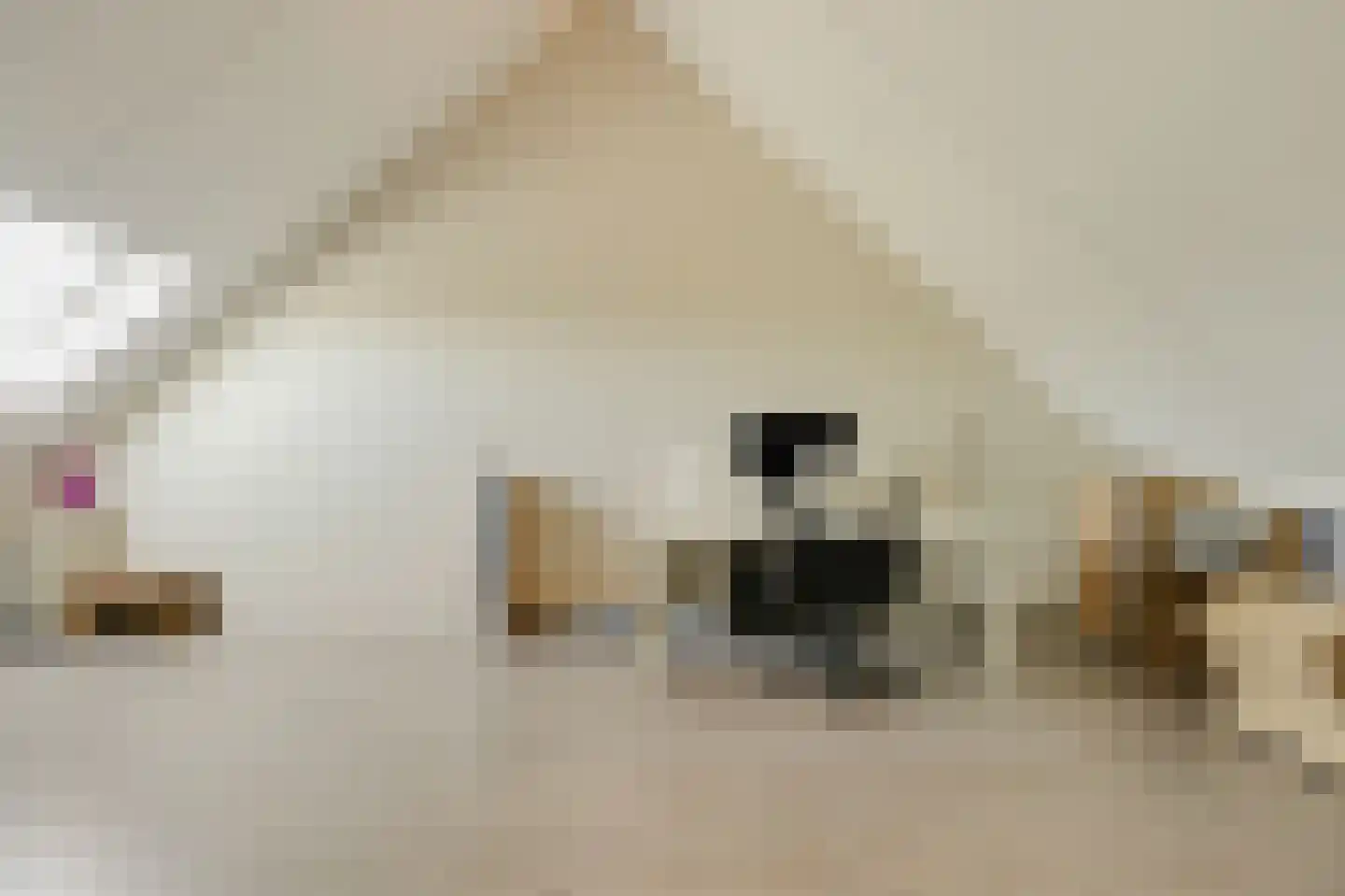 Katjesbos 20 Doetinchem thumbnail 43