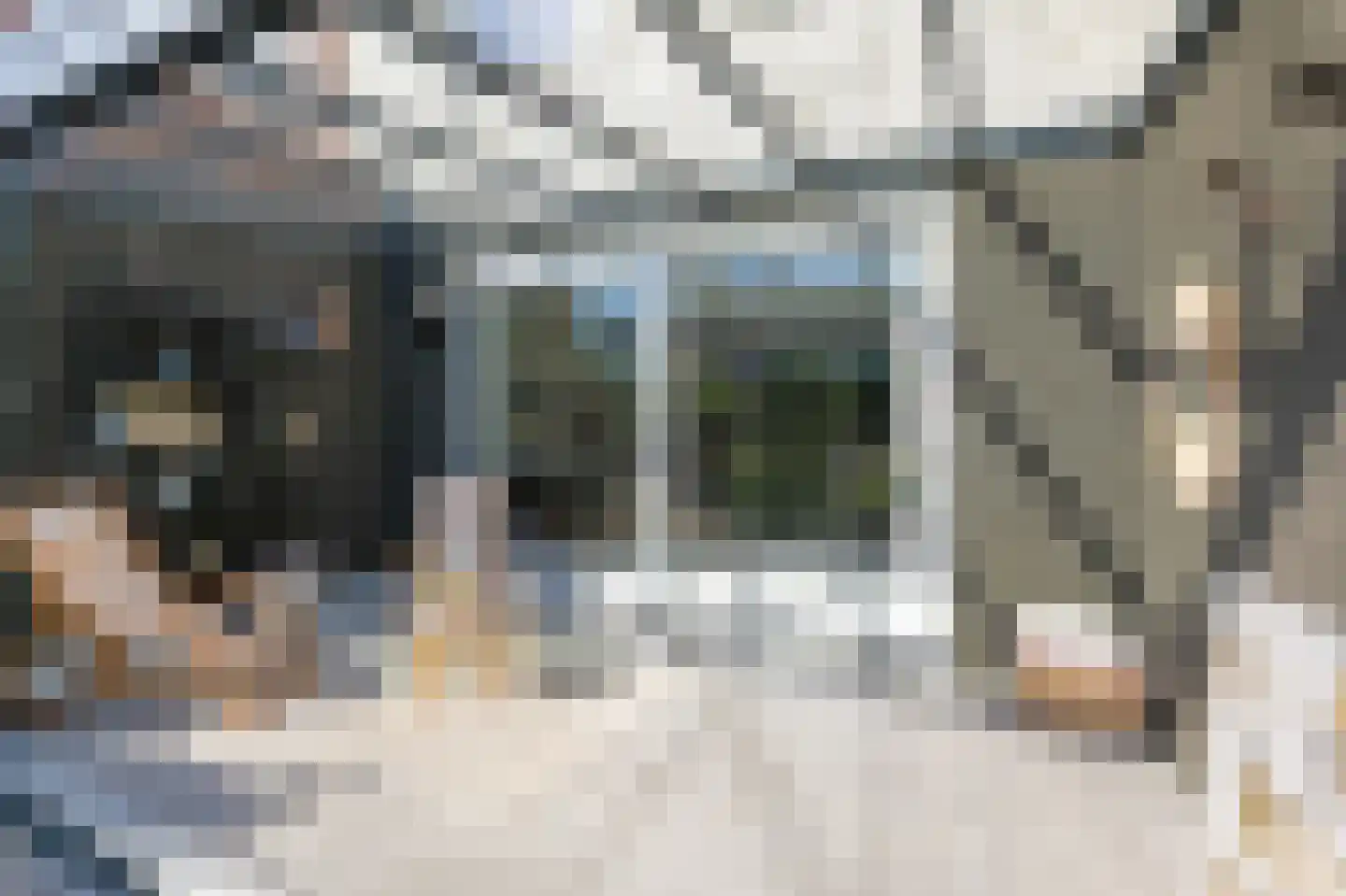Katjesbos 20 Doetinchem thumbnail 49