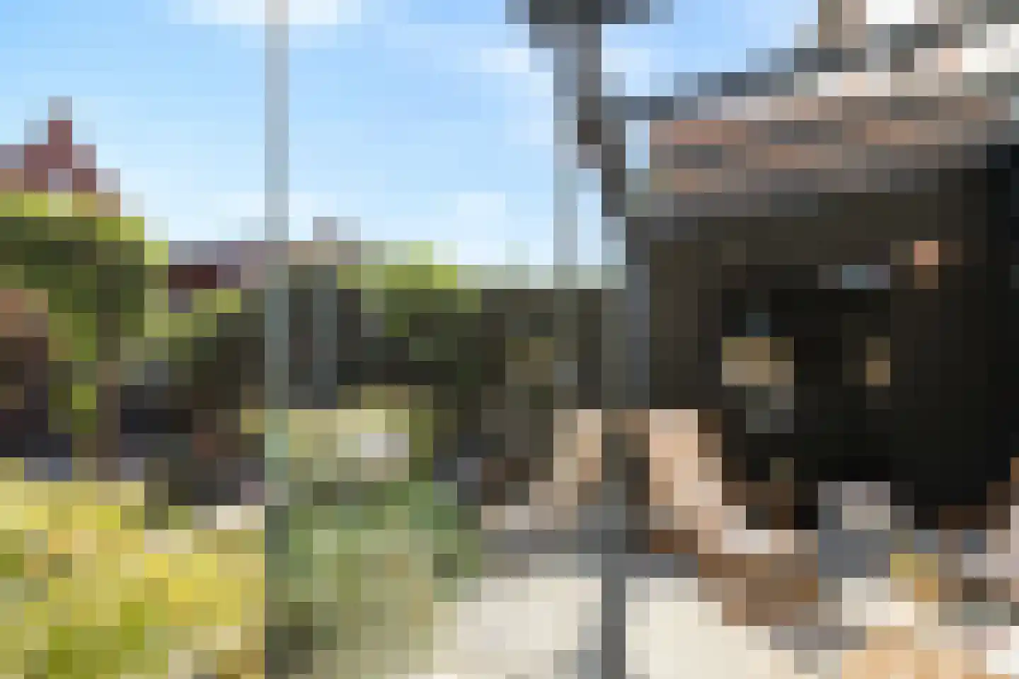 Katjesbos 20 Doetinchem thumbnail 50