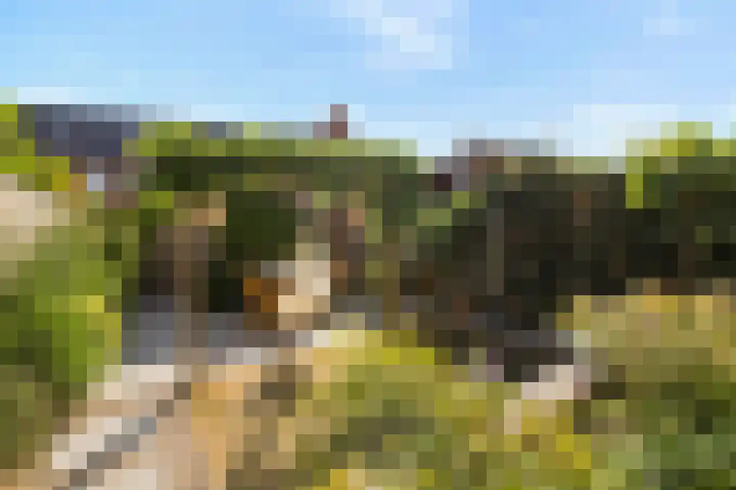 Katjesbos 20 Doetinchem thumbnail 51