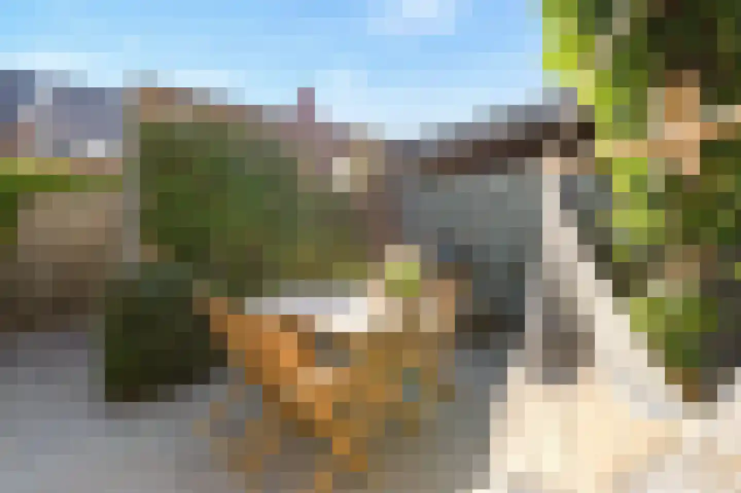 Katjesbos 20 Doetinchem thumbnail 53
