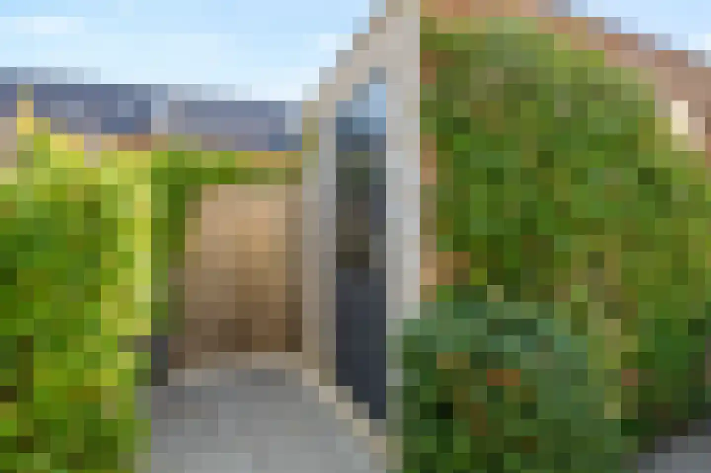 Katjesbos 20 Doetinchem thumbnail 58