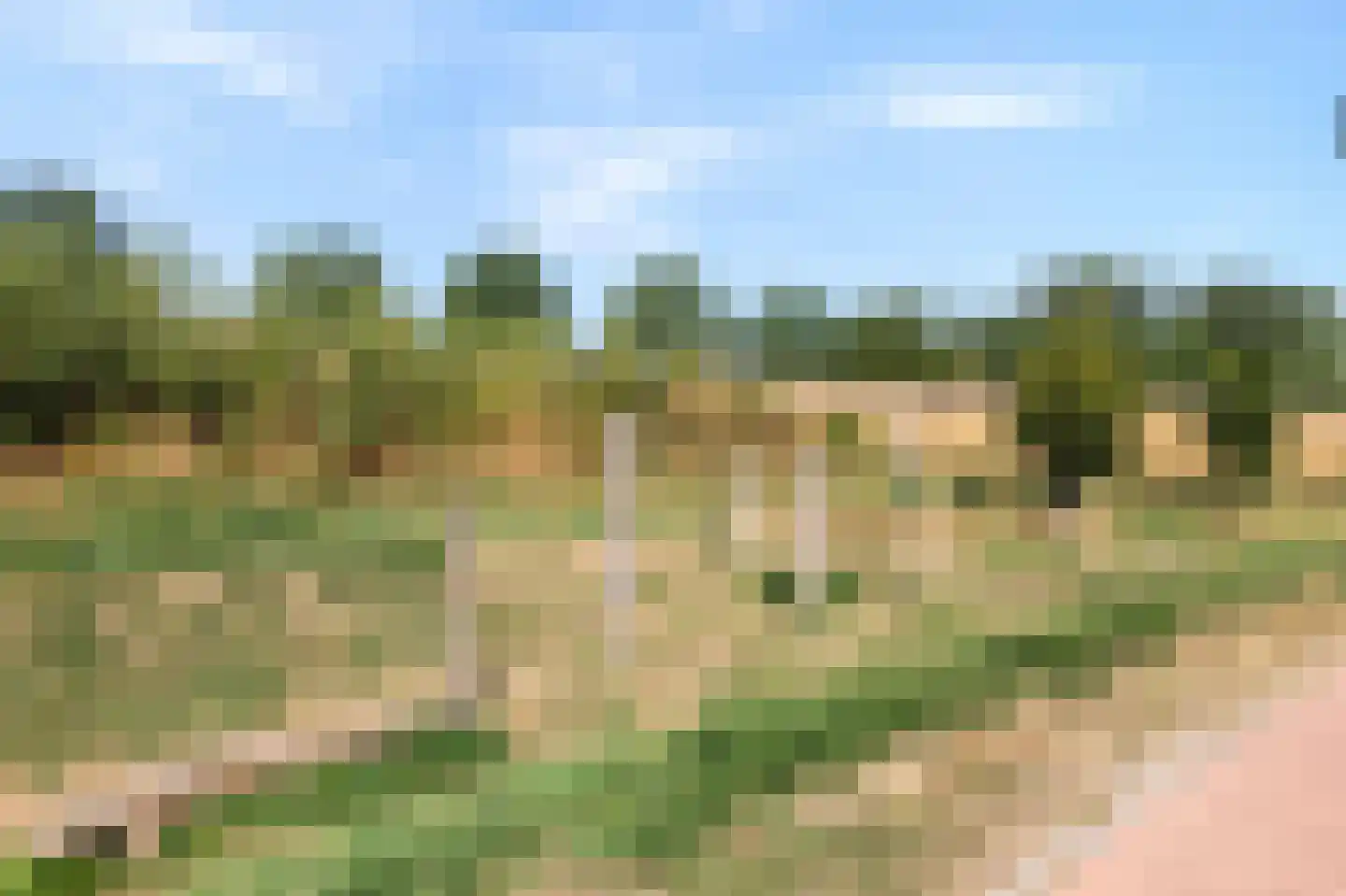 Katjesbos 20 Doetinchem thumbnail 59