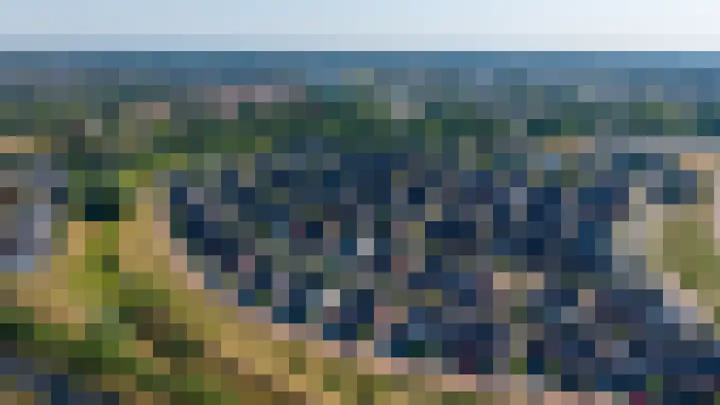 Katjesbos 20 Doetinchem thumbnail 64