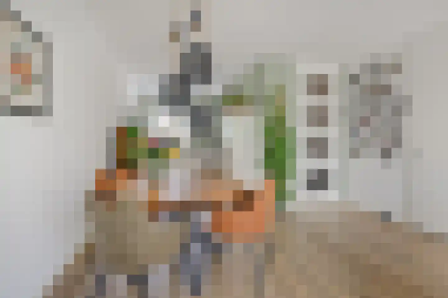 Katjesbos 4 Doetinchem thumbnail 19