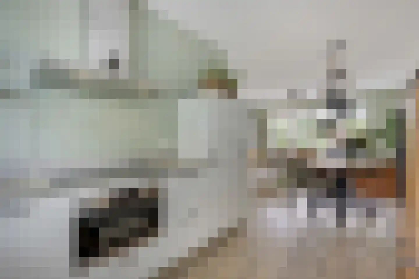 Katjesbos 4 Doetinchem thumbnail 23
