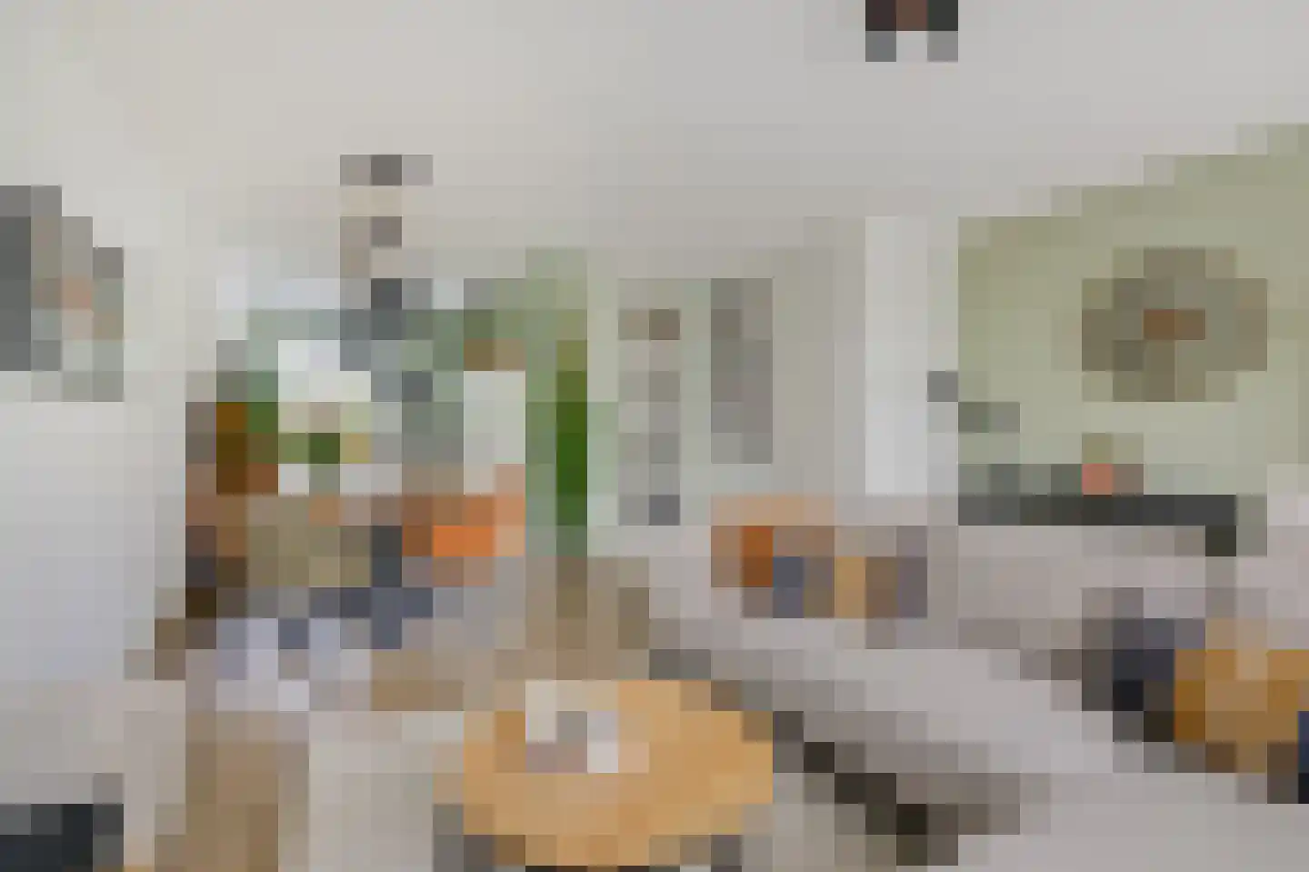 Katjesbos 4 Doetinchem thumbnail 27