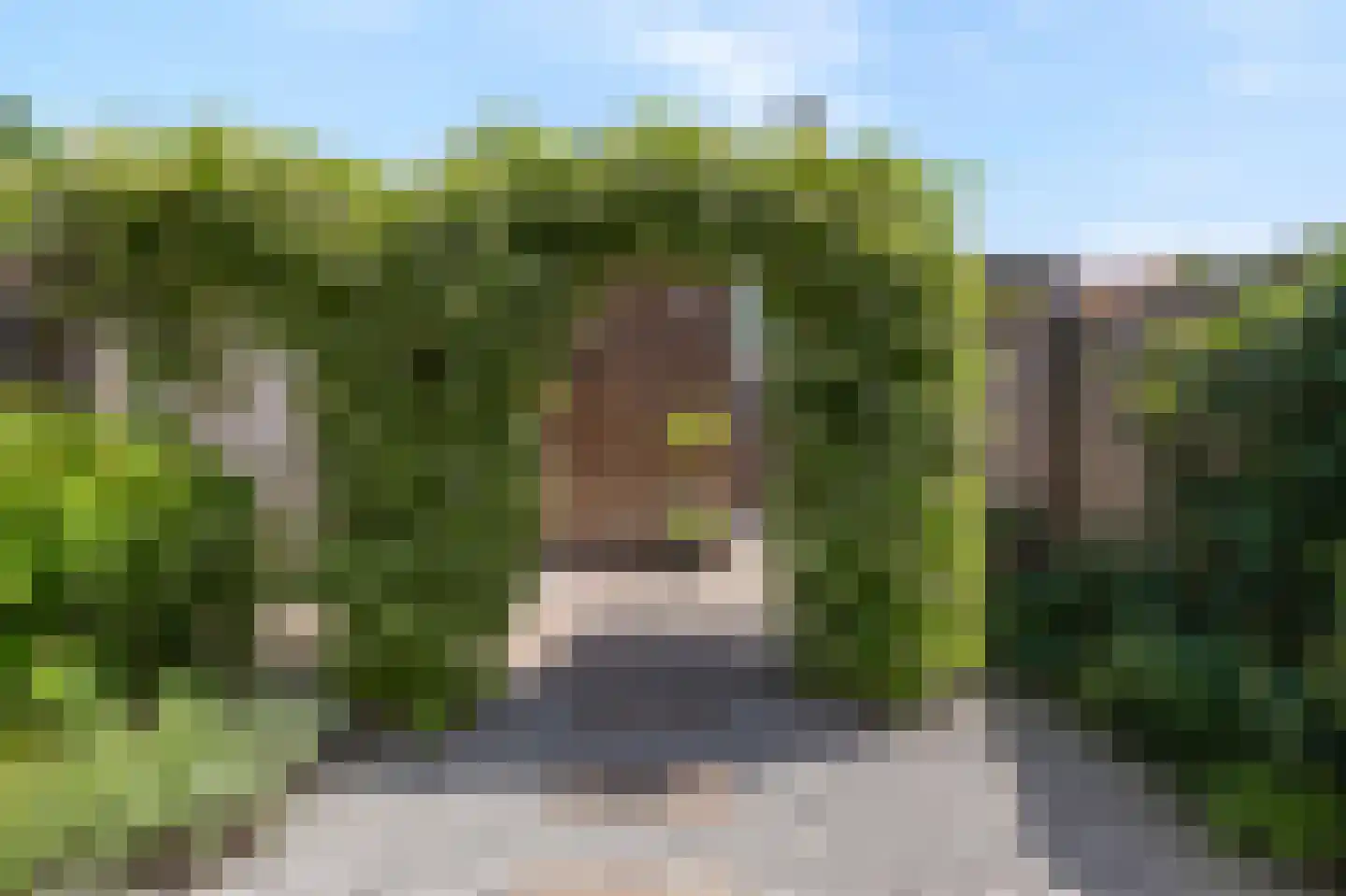 Katjesbos 4 Doetinchem thumbnail 34
