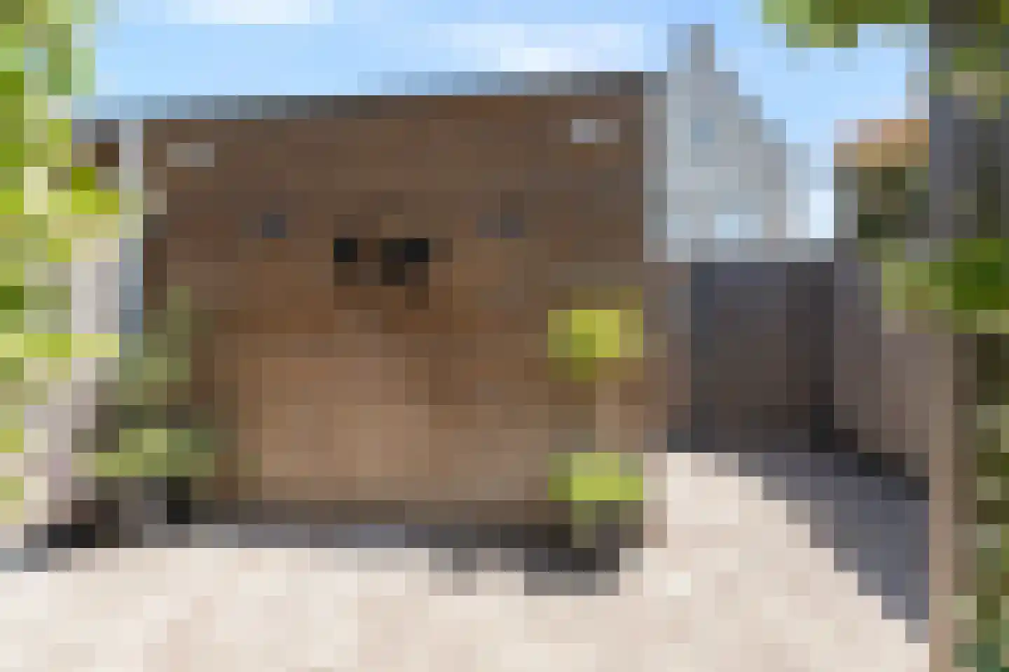 Katjesbos 4 Doetinchem thumbnail 35