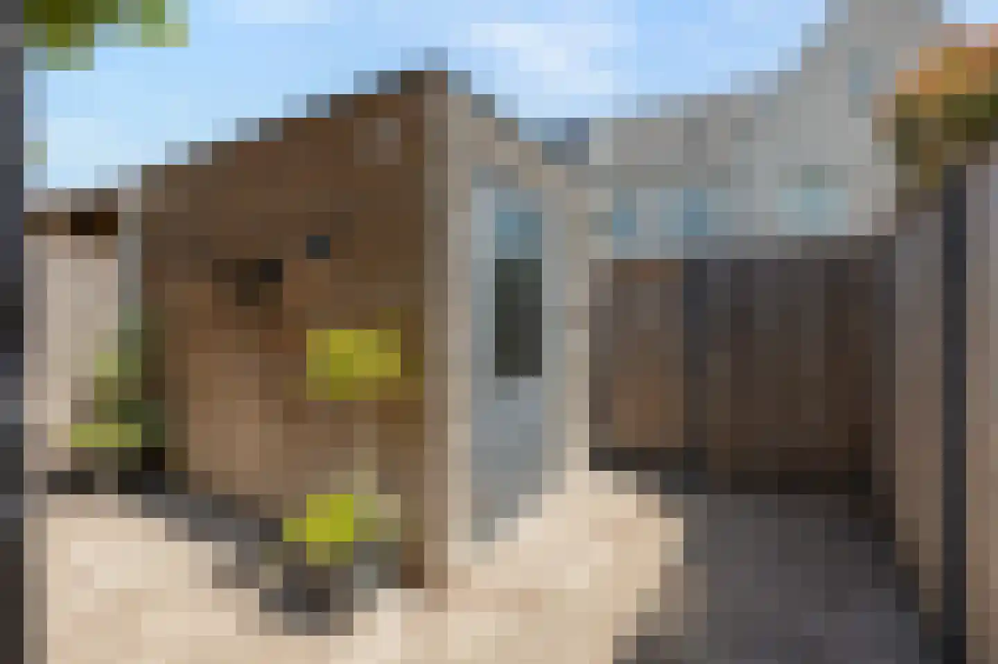 Katjesbos 4 Doetinchem thumbnail 36