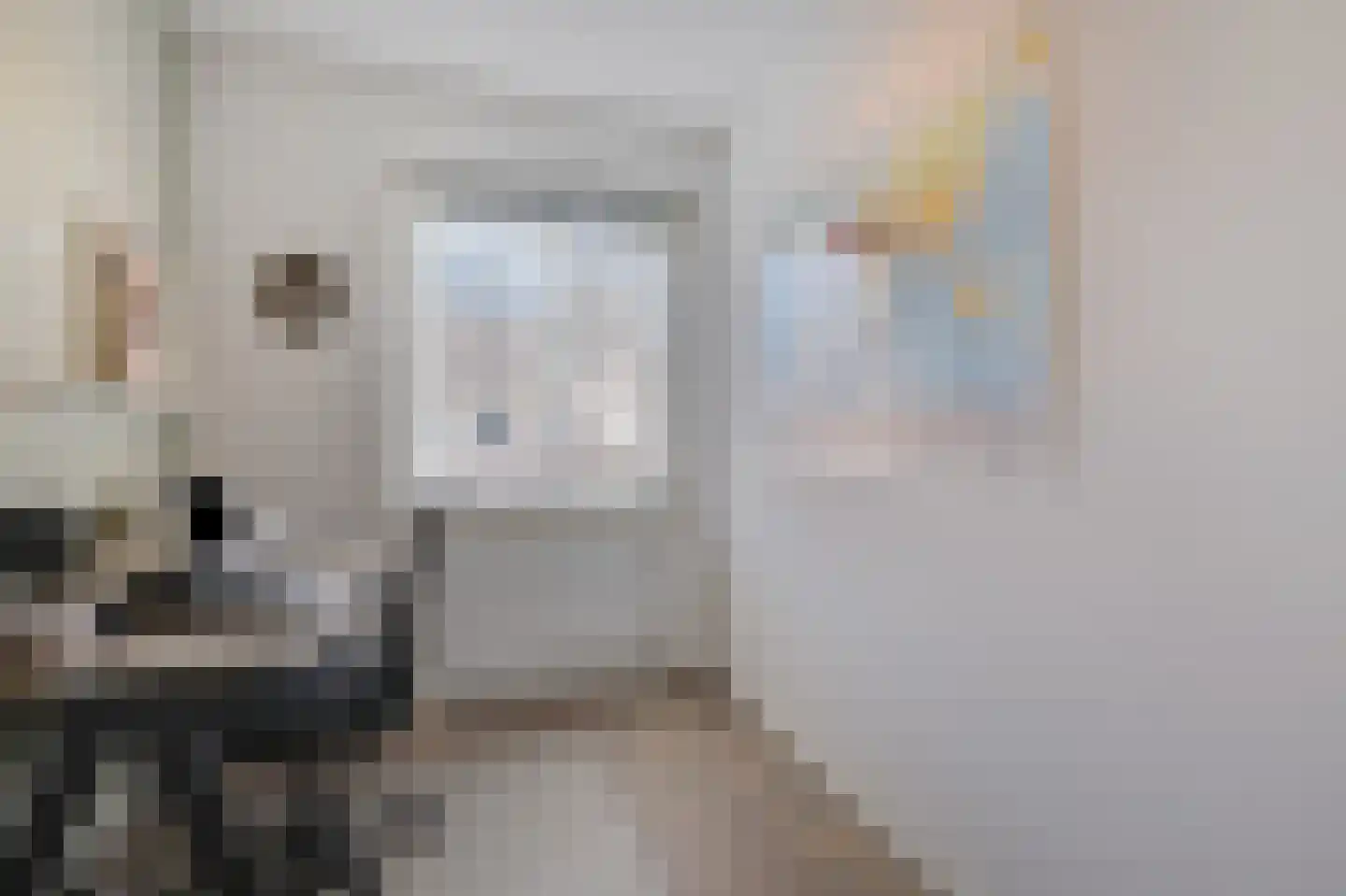 Katjesbos 4 Doetinchem thumbnail 47