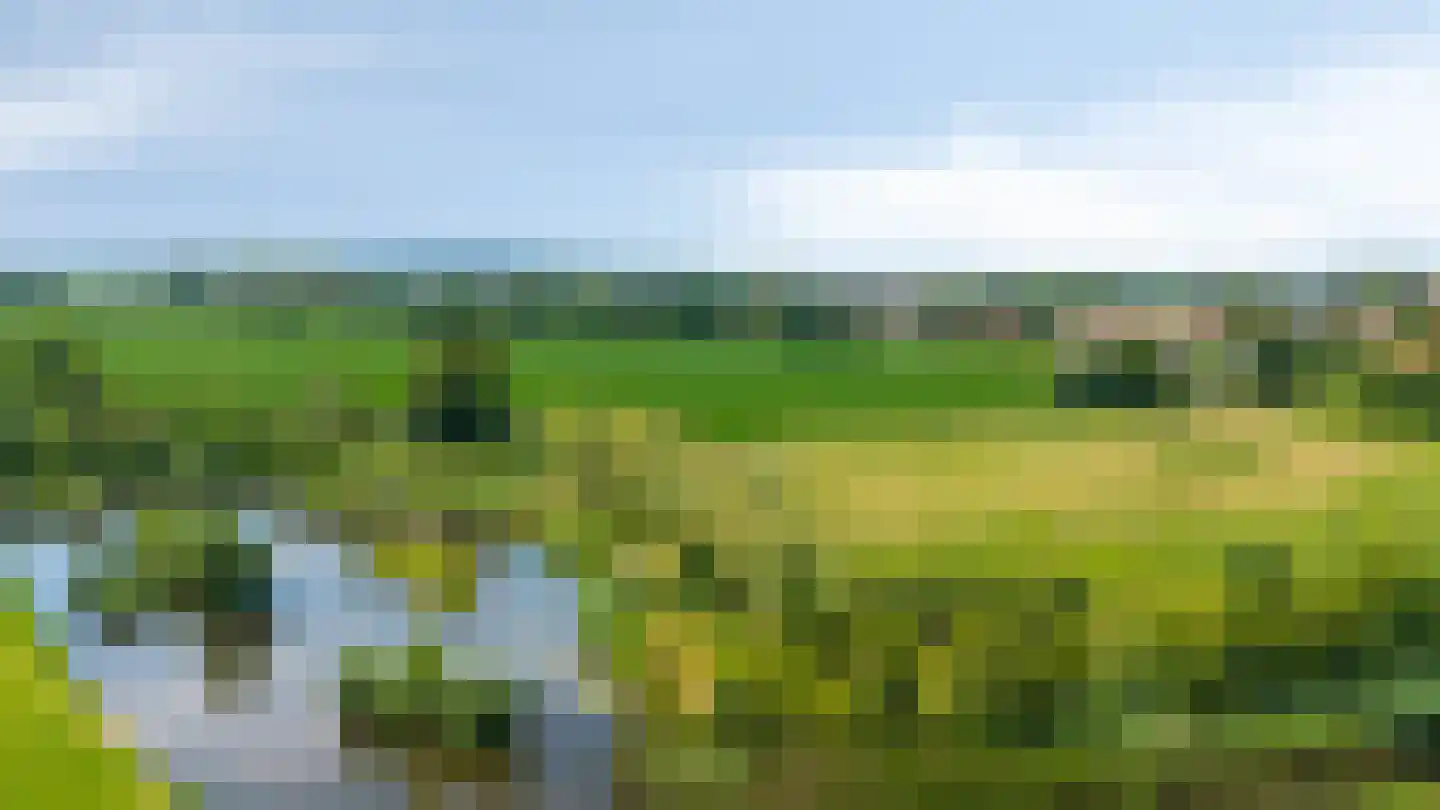 Katjesbos 4 Doetinchem thumbnail 58