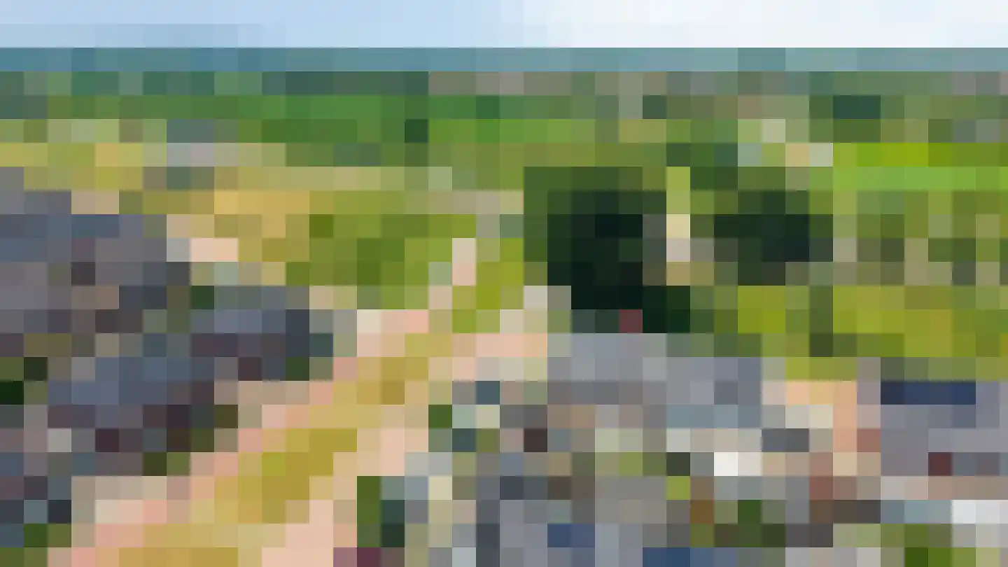 Katjesbos 4 Doetinchem thumbnail 8