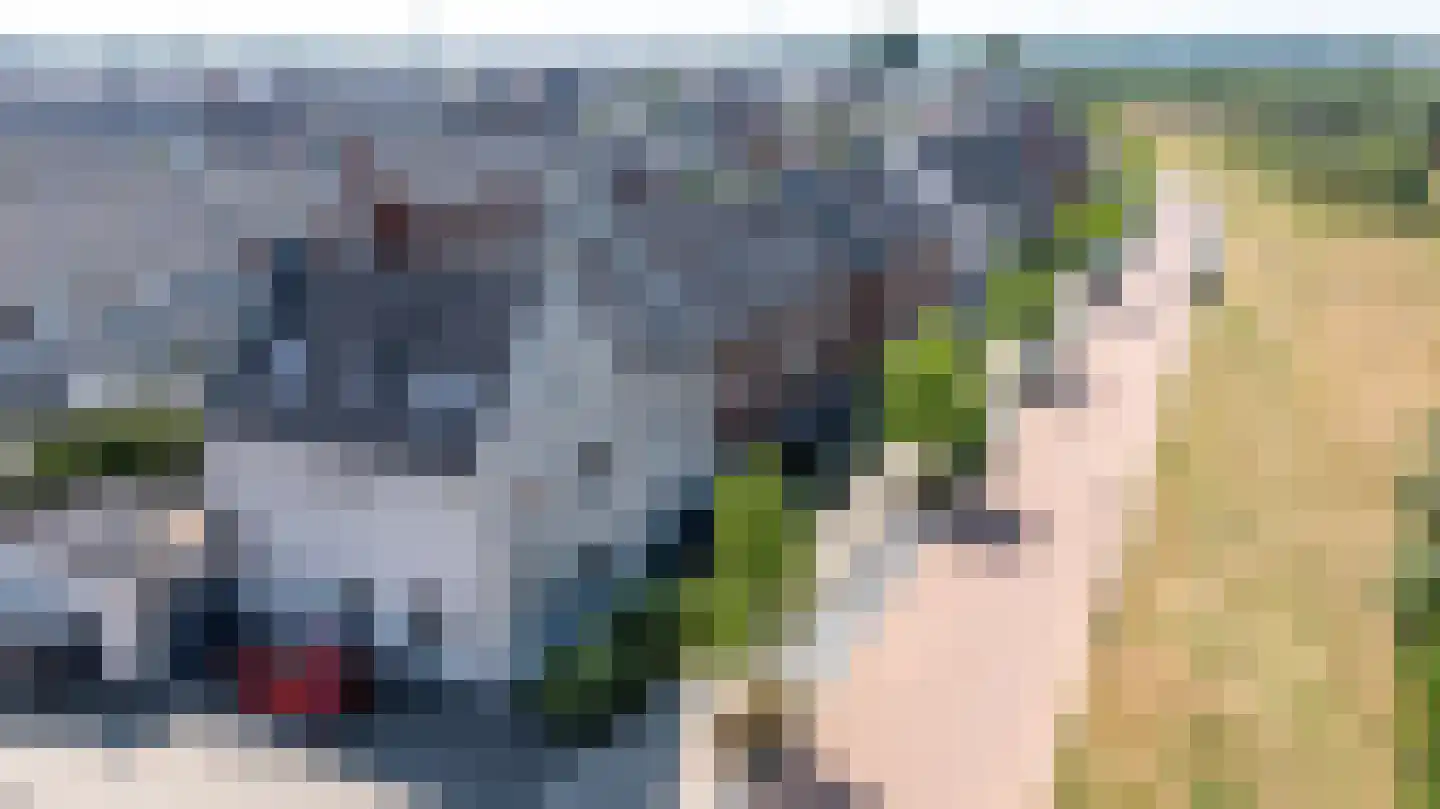 Katjesbos 62 Doetinchem thumbnail 40