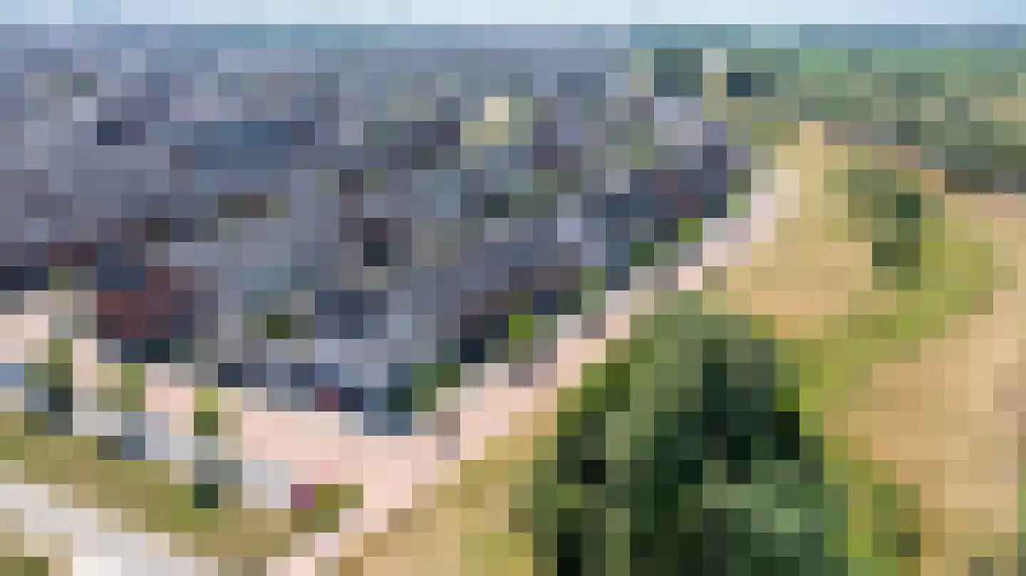 Katjesbos 62 Doetinchem thumbnail 41