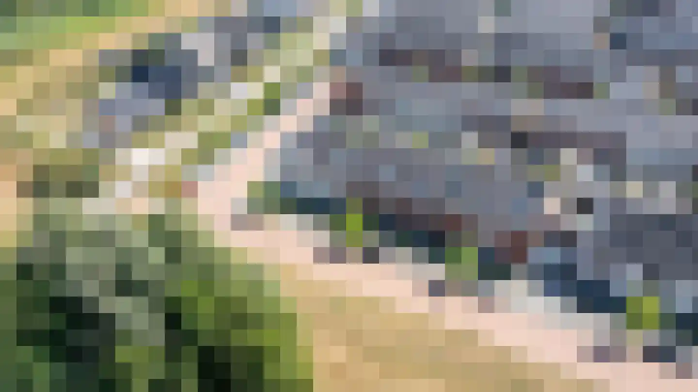 Katjesbos 62 Doetinchem thumbnail 43