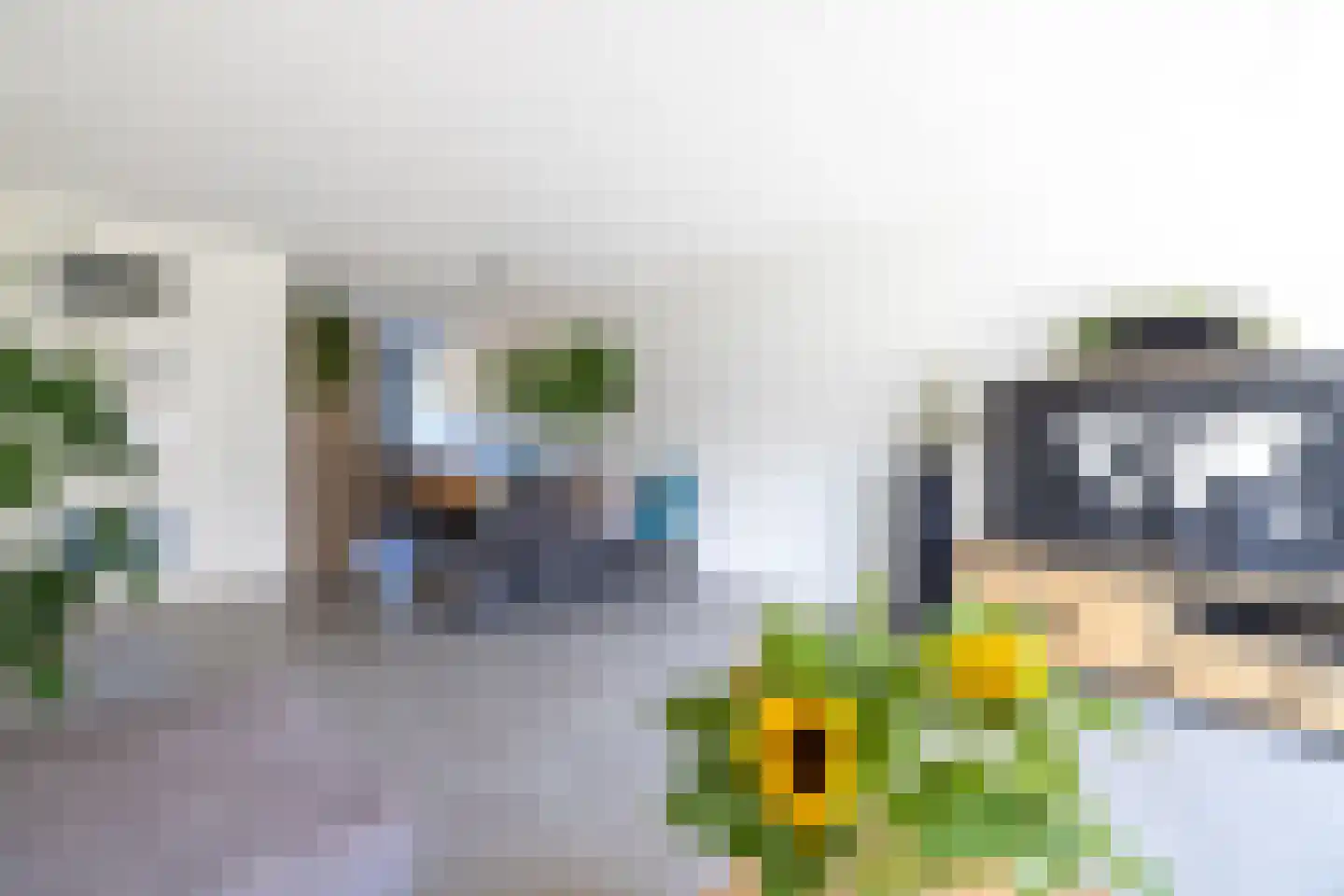 Katjesbos 62 Doetinchem thumbnail 8