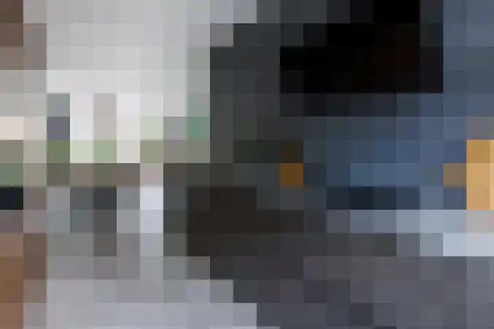 Katjesbos 64 Doetinchem thumbnail 10