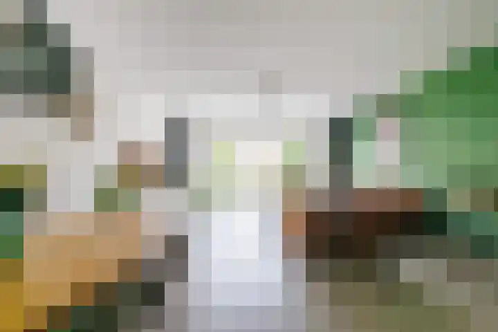 Katjesbos 64 Doetinchem thumbnail 11