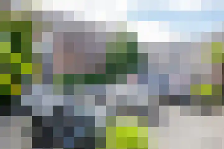 Katjesbos 64 Doetinchem thumbnail 14