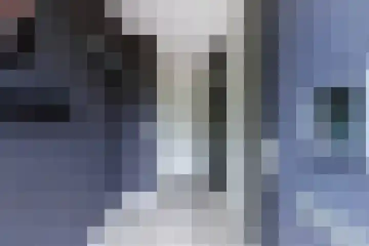 Katjesbos 64 Doetinchem thumbnail 18