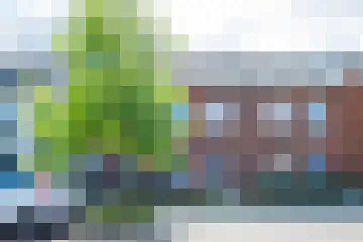 Katjesbos 64 Doetinchem thumbnail 33