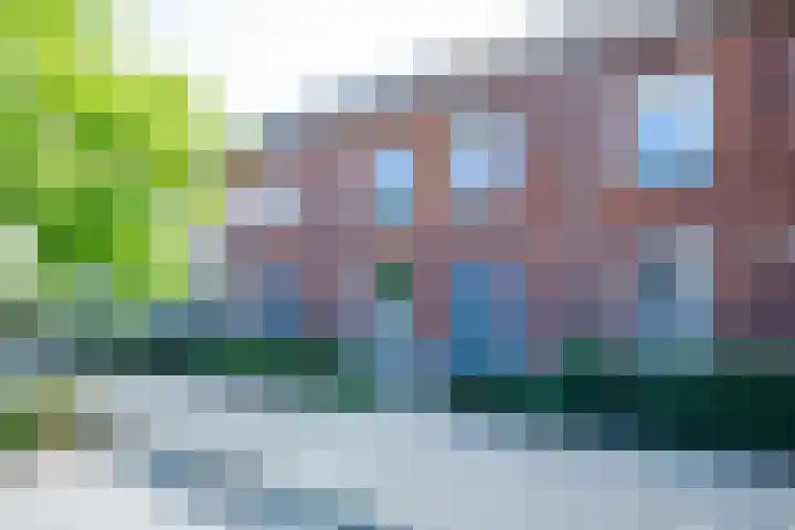 Katjesbos 64 Doetinchem thumbnail 34