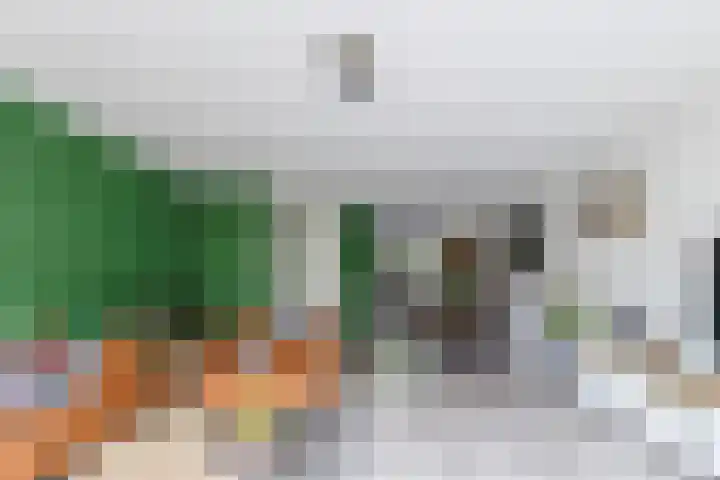 Katjesbos 64 Doetinchem thumbnail 5