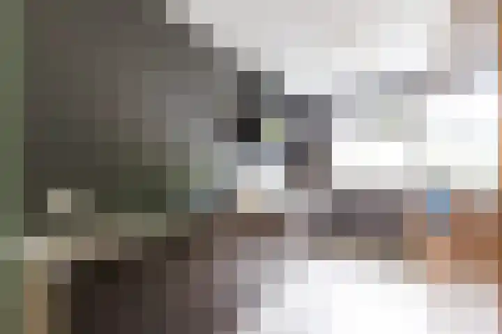 Katjesbos 64 Doetinchem thumbnail 7
