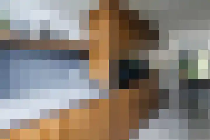 Katjesbos 64 Doetinchem thumbnail 9