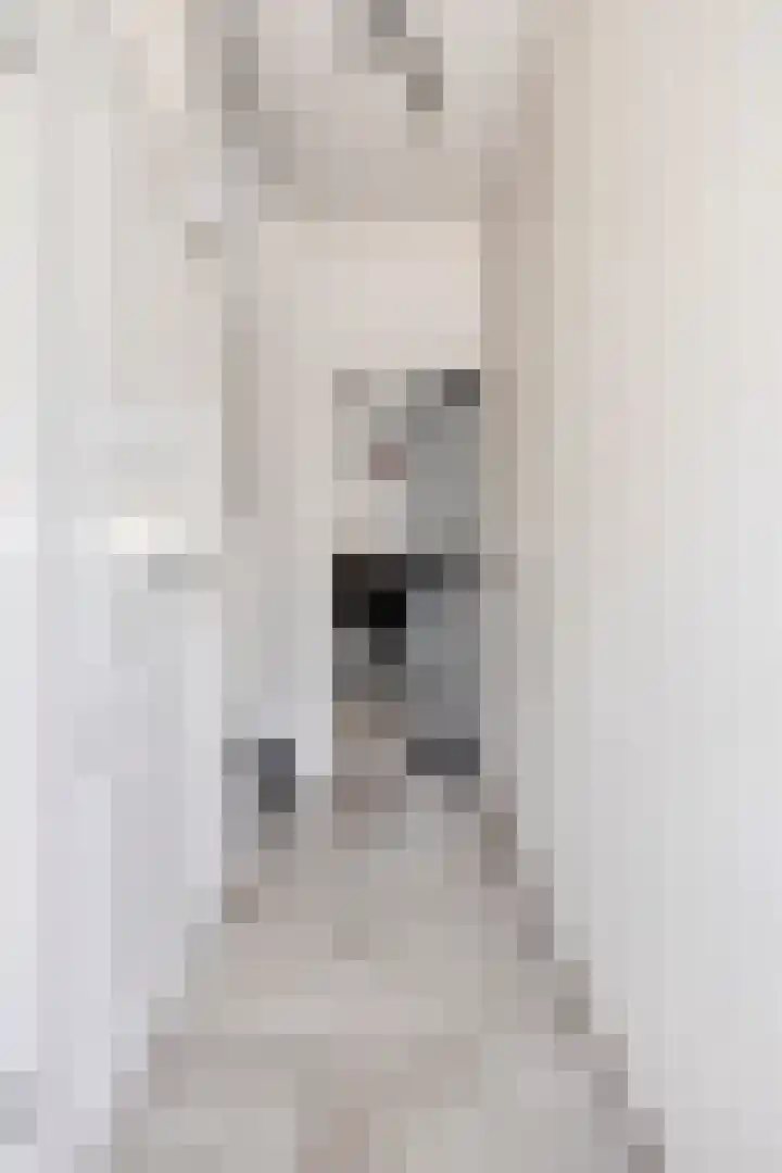Katoenstraat 10 Geldrop thumbnail 12