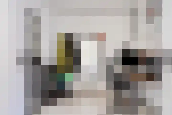Katoenstraat 10 Geldrop thumbnail 14