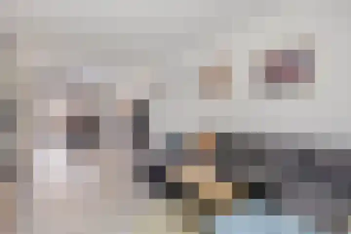 Katoenstraat 10 Geldrop thumbnail 15