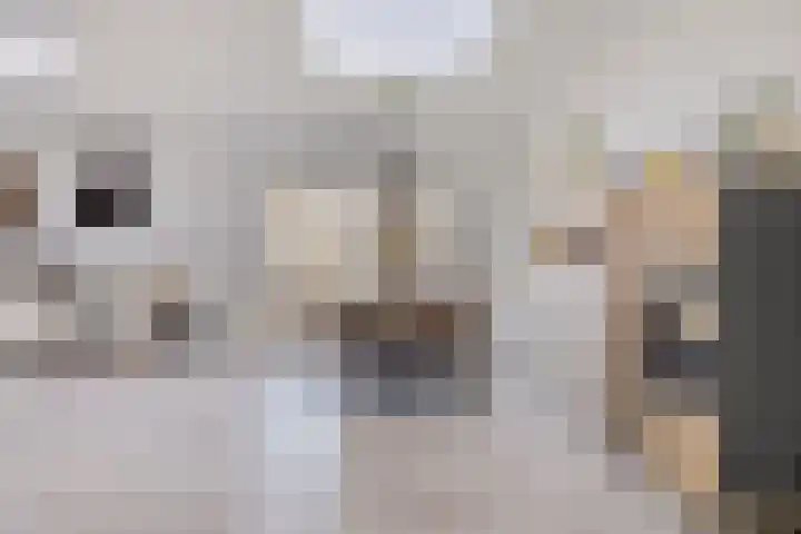 Katoenstraat 10 Geldrop thumbnail 16