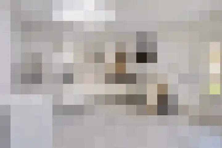 Katoenstraat 10 Geldrop thumbnail 18