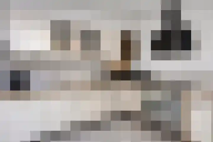 Katoenstraat 10 Geldrop thumbnail 19