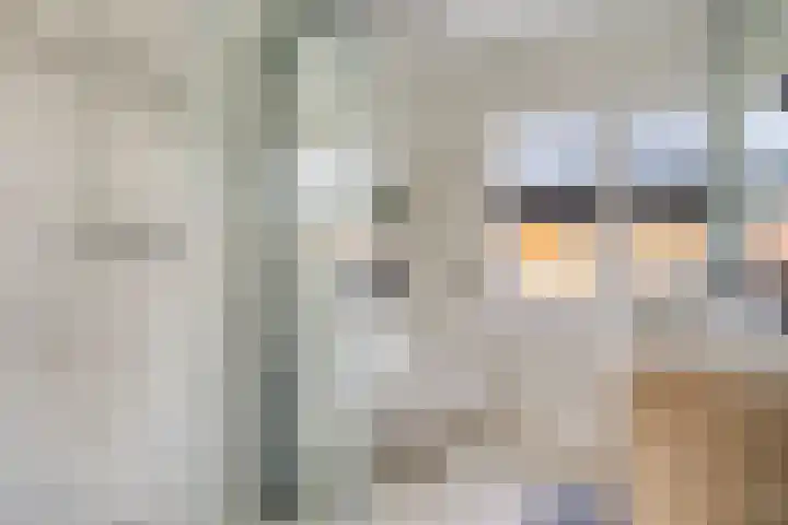 Katoenstraat 10 Geldrop thumbnail 27