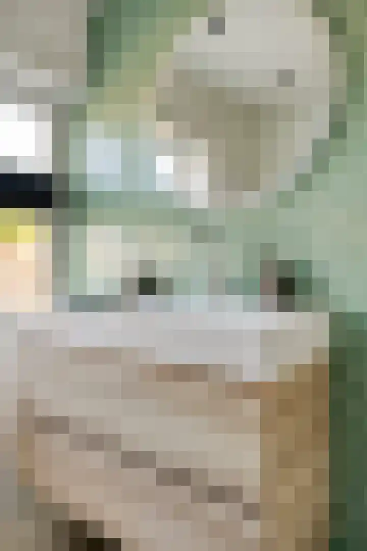 Katoenstraat 10 Geldrop thumbnail 29