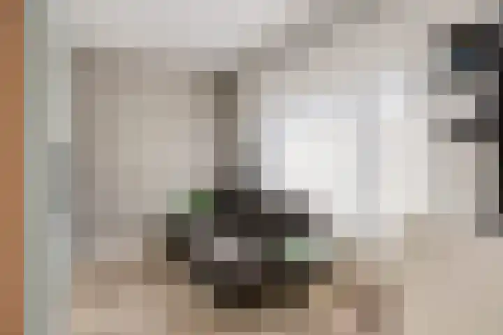 Katoenstraat 10 Geldrop thumbnail 31
