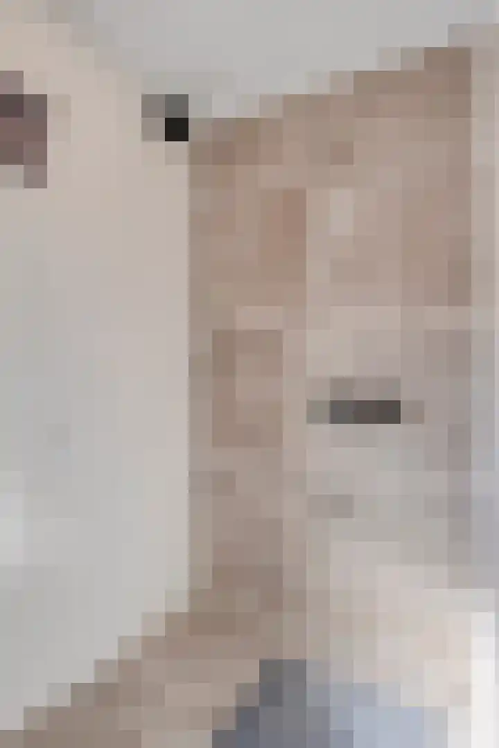 Katoenstraat 10 Geldrop thumbnail 33